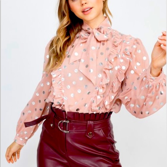 Tops - Mauve/Silver Sheer Long Sleeve Polka Dot Neck Tie Blouse
